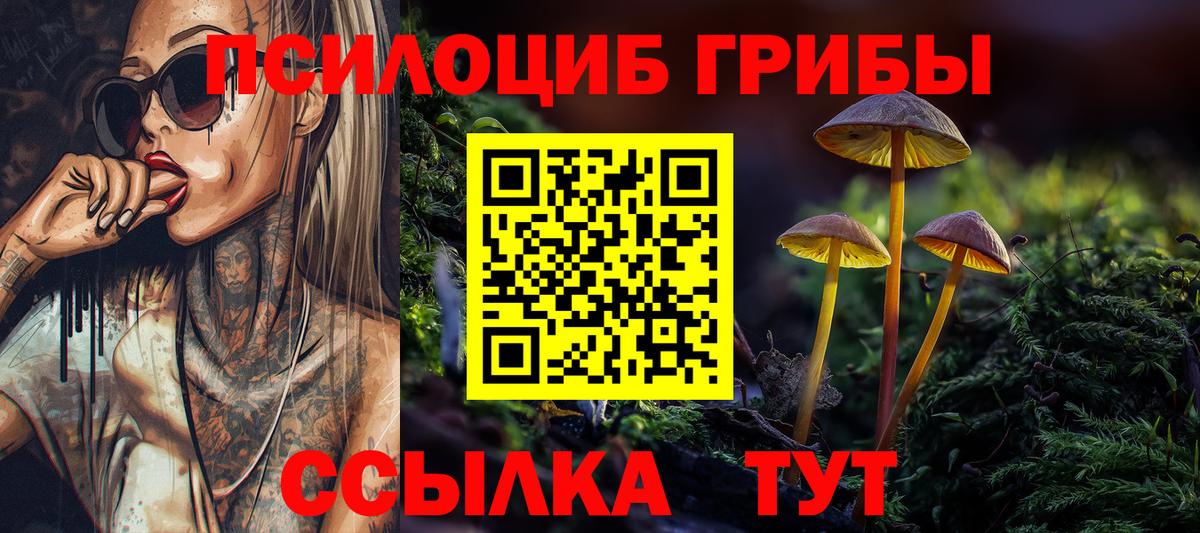 Галлюциногенные грибы Magic Shrooms Добрянка