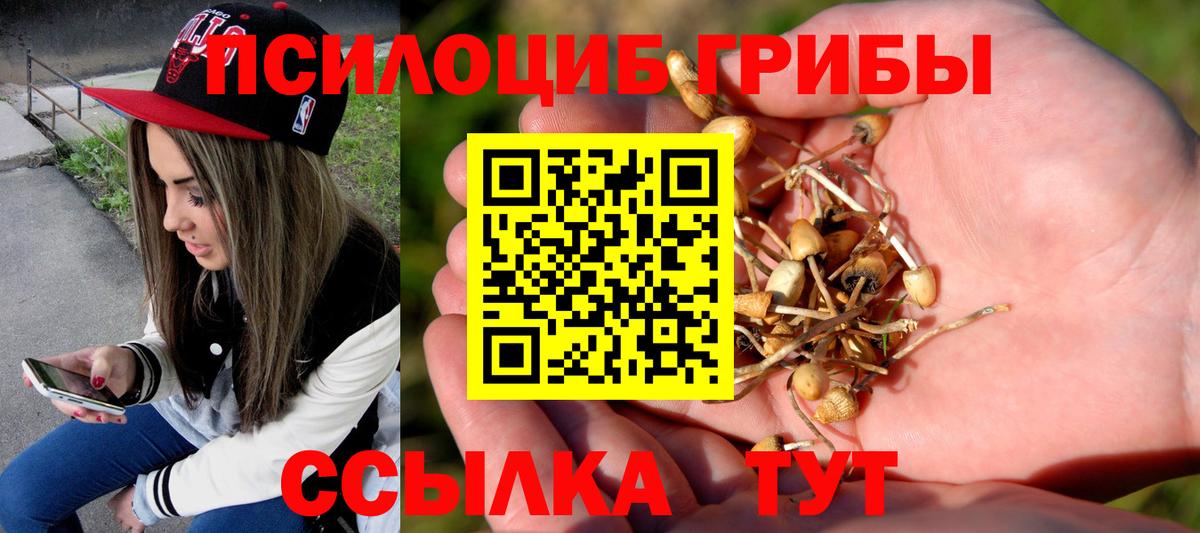 наркотики  Галлюциногенные грибы Psilocybine cubensis  Вход с VPN  Псилоцибиновые грибы Magic Shrooms  Добрянка 